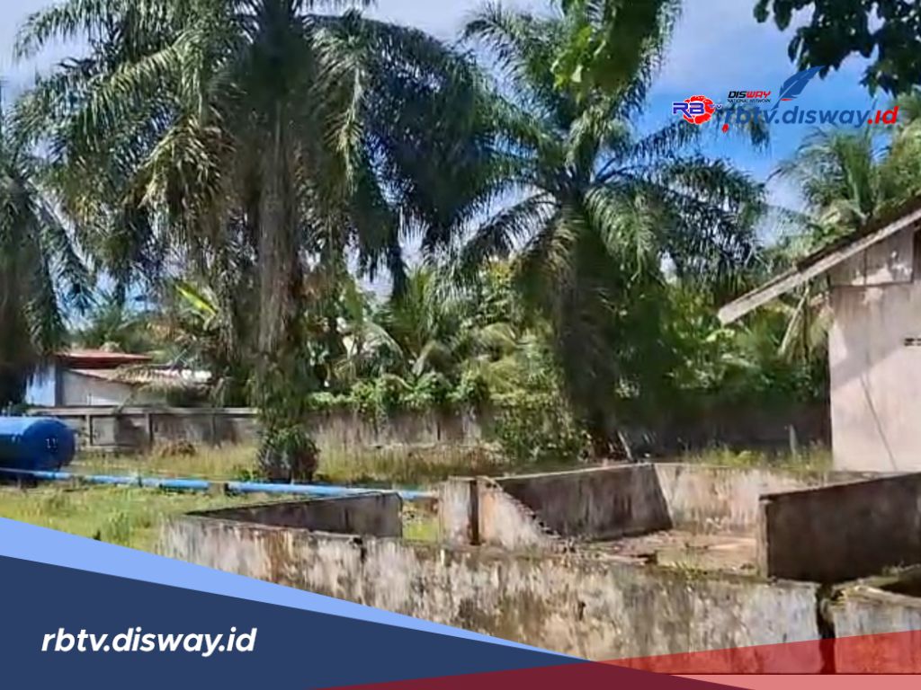 Pabrik CPO Mini di Bengkulu Selatan Mulai Operasi, Tren Harga TBS Positif