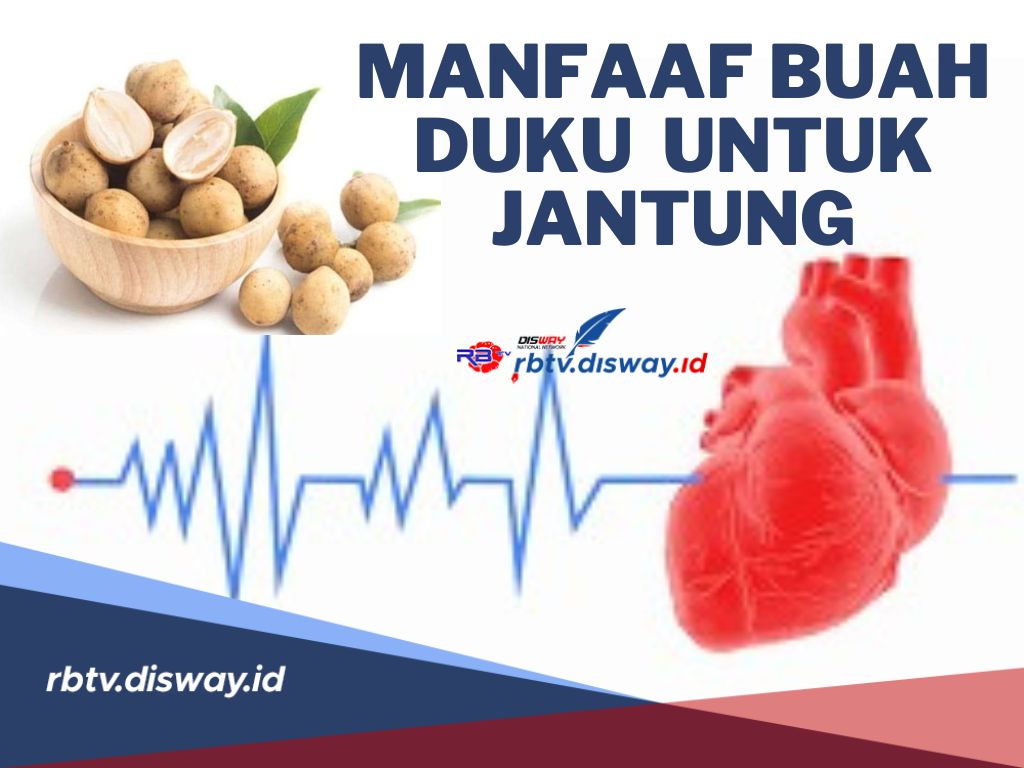 Penderita Jantung Harus Coba! Ini Manfaat Buah Duku untuk Jantung dan Apa Saja 8 Jenis Penyakit Jantung