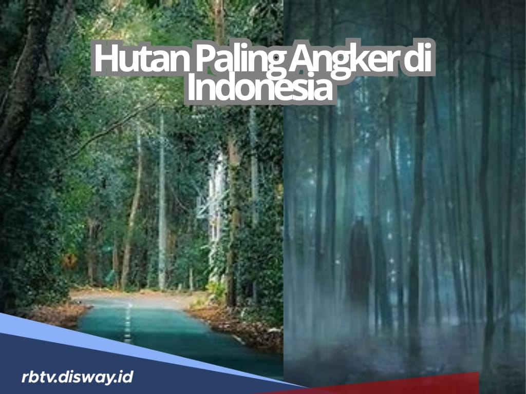 8 Deretan Hutan Paling Angker di Indonesia, Apakah Kamu Berani Berkunjung?