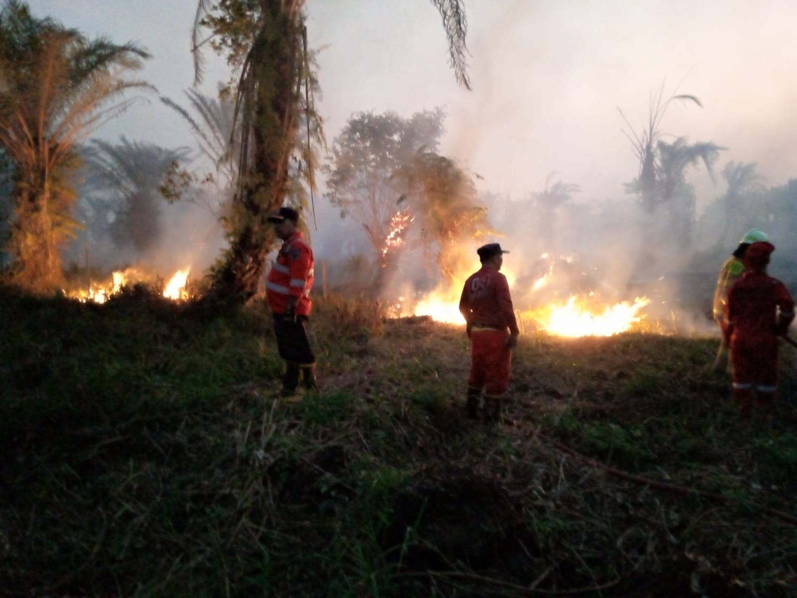 Kebakaran Lagi, Lebih dari Satu Hektare Perkebunan Sawit Terbakar