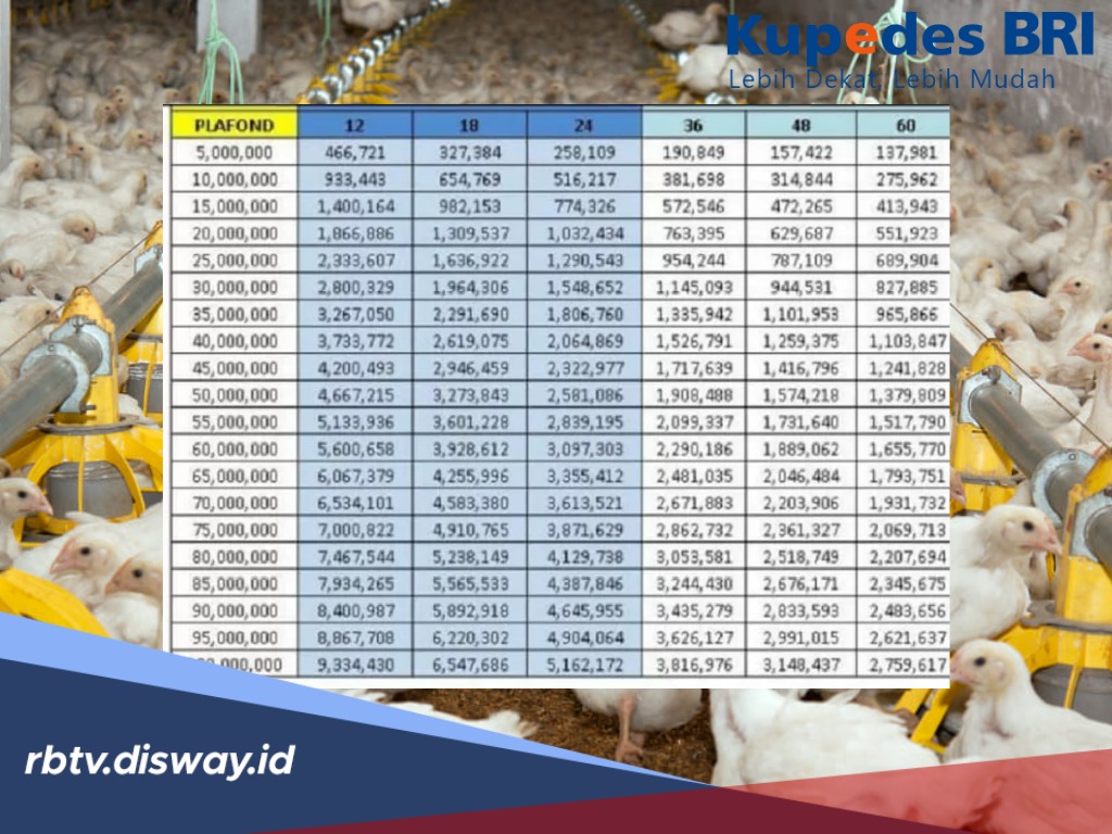Sedikit yang Tahu, Tabel Kupedes BRI Pinjaman Rp 100 Juta Berapa Bunga Pinjamannya?