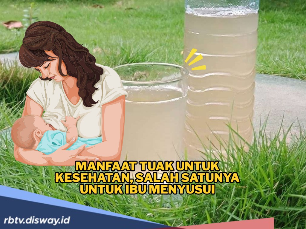 Mencengangkan! Ternyata Ada 10 Manfaat Tuak untuk Kesehatan, Salah Satunya untuk Ibu Menyusui