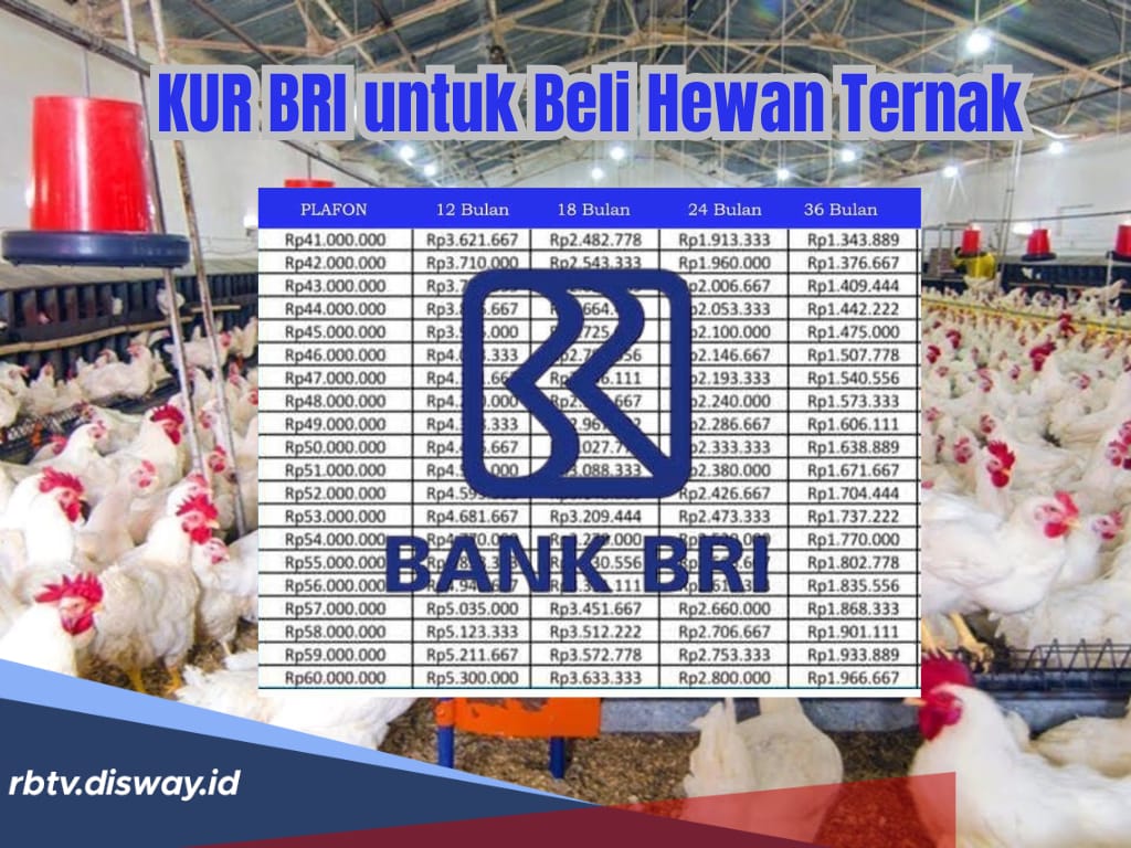 Pinjam KUR BRI 2025 Rp25 Juta untuk Beli Hewan Ternak, Lihat Syarat dan Cara Pengajuannya