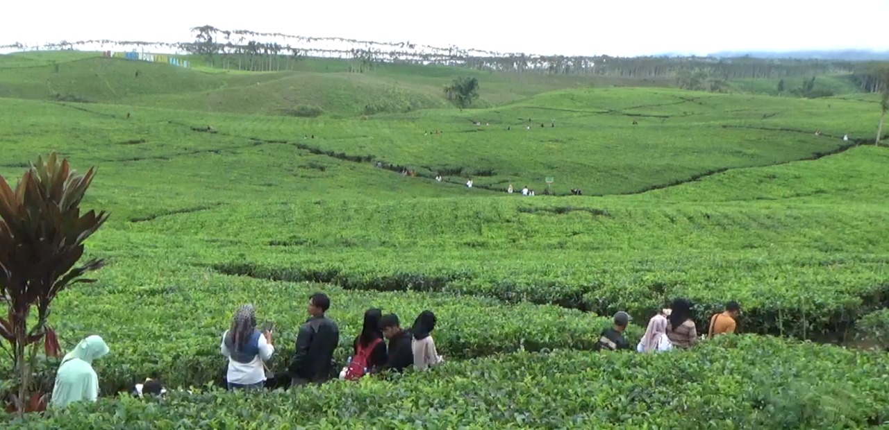 Izin Operasional Kadaluarsa, Pemkab Minta PT Tums Angkat Kaki dari Kepahiang