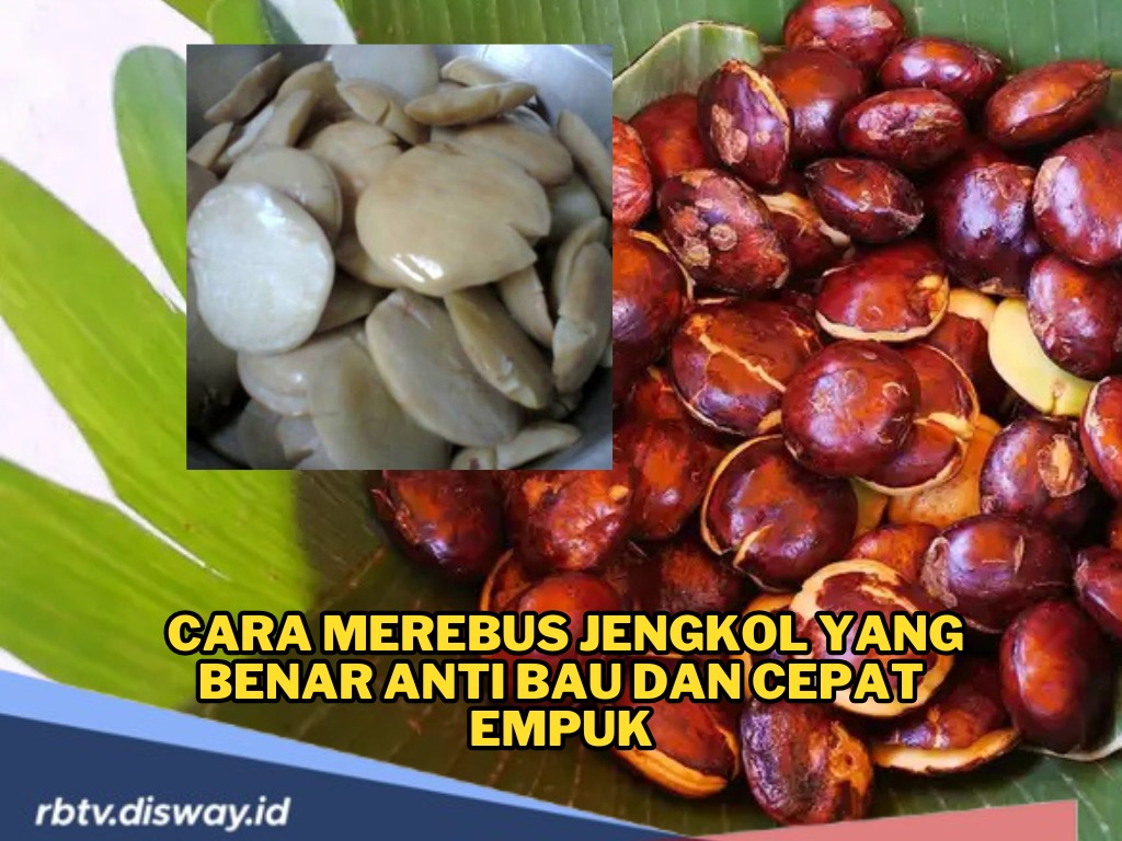 Ibu-ibu Harus Tahu, Ini Cara Merebus Jengkol yang Benar, Empuk dan Bebas Bau