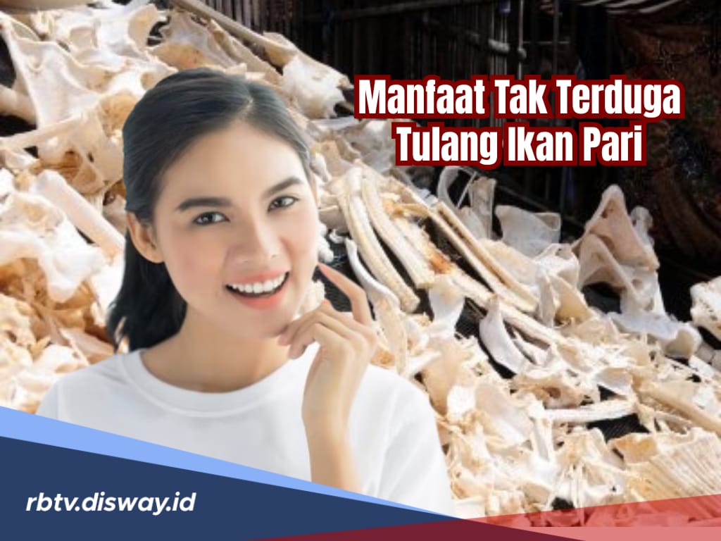 Belum Banyak yang Tahu, Ini Segudang Manfaat dari Tulang Rawan Ikan Pari 