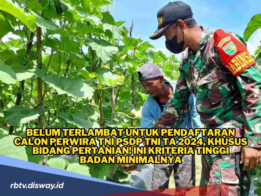 Pendaftaran Calon Perwira TNI PSDP TA 2024, Khusus Bidang Pertanian! Ini Kriteria Tinggi Badan Minimalnya