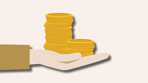 Pantas Jadi Rebutan, Ternyata Ini Tunjangan Mitra Statistik BPS