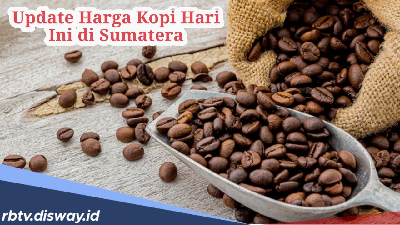 Update Harga Kopi Hari Ini di Sumatera, Petani Keluhkan Harga Turun, Tinggal Segini Per Kilonya