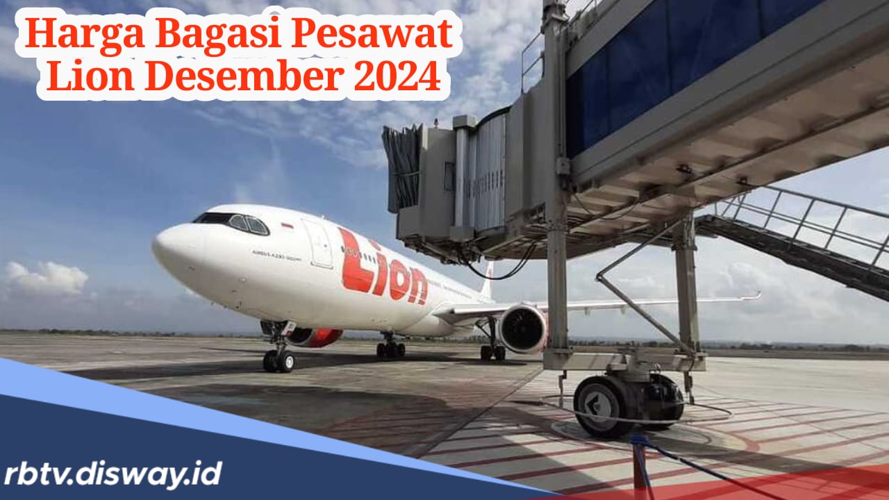 Aturan Baru, Ini Harga Bagasi Lion Group Per Desember 2024 