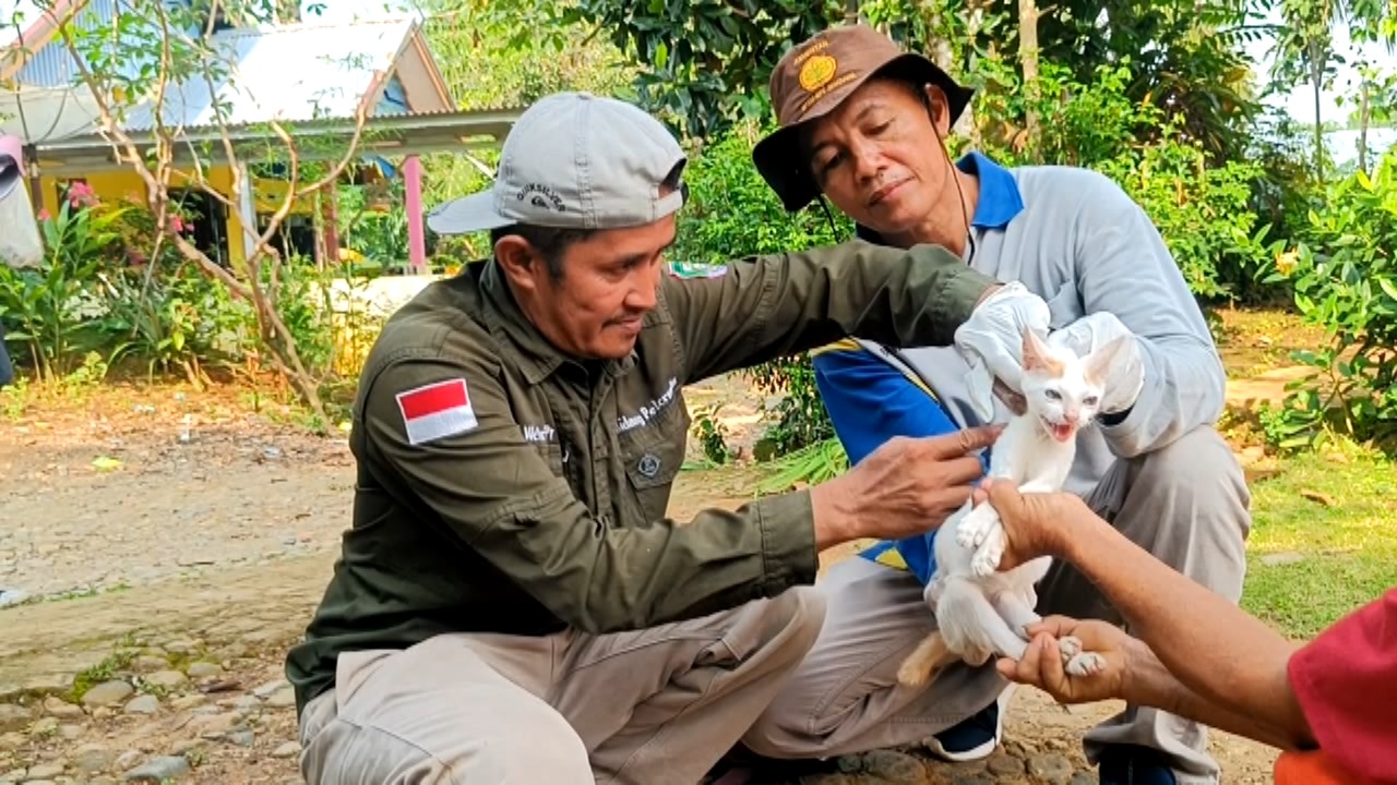 Cegah Rabies, Dinas Pertanian Seluma Siapkan 1.000 Dosis Vaksin Gratis