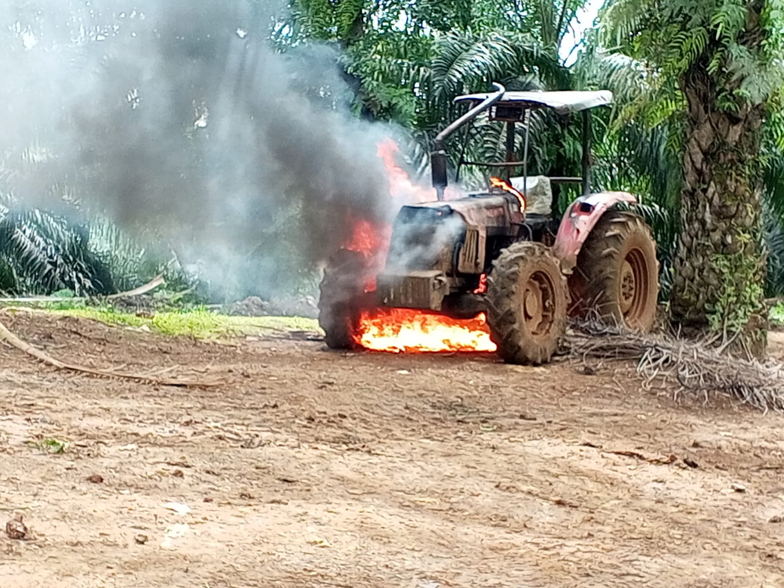 Demo di PT BRS Berujung Anarkis, Warga Bakar Traktor Milik Perusahaan