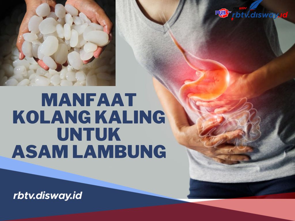 Manfaat Kolang Kaling dan  Serta Tips Mengolah Kolang Kaling Bagi Penderita Asam Lambung