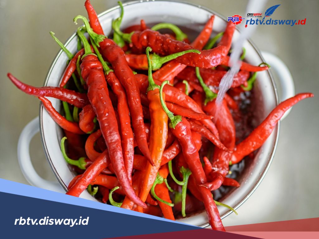 Ibu-ibu Jangan Sampai Salah, Begini Loh Cara Menyimpan Cabe agar Awet Berhari-hari