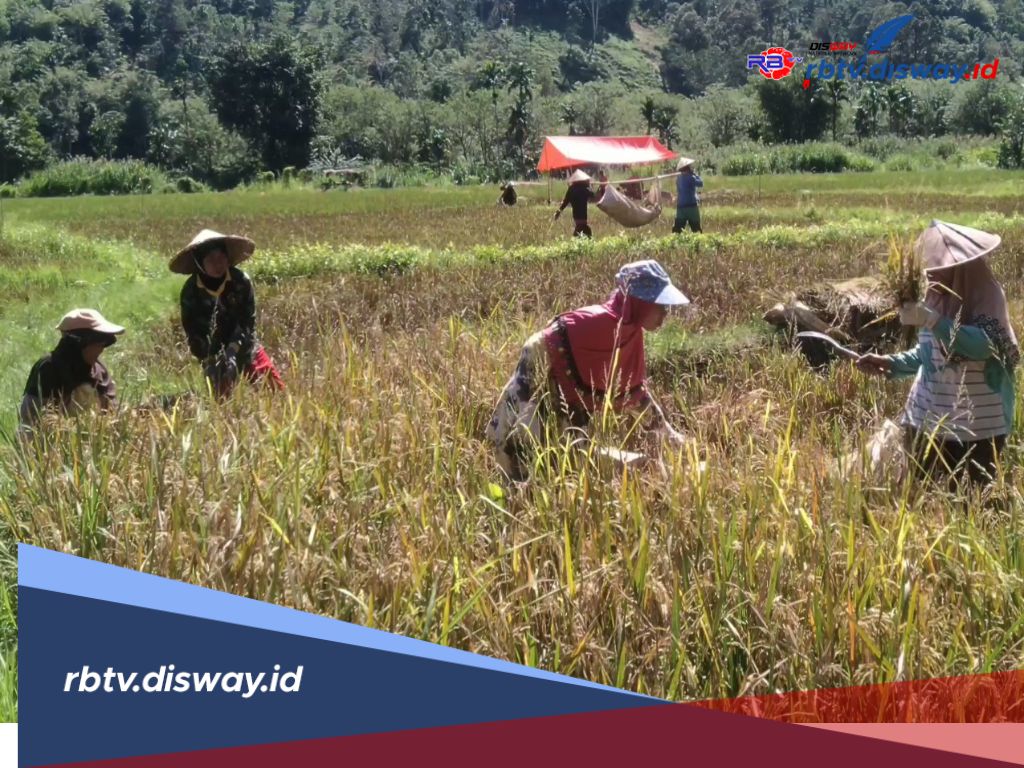 Jumlah Pengangguran di Lebong Naik Jadi 3,16 Persen, BPS Sebut Hal Ini Penyebabnya