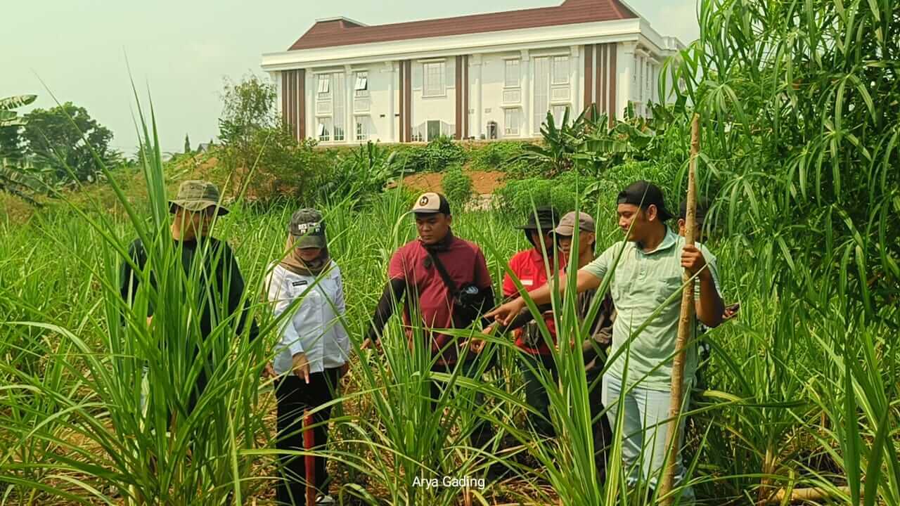 Sambut Pembangunan Sekolah Rakyat, Pemkab Seluma Mulai Pasang Patok Lahan 10 Hektar