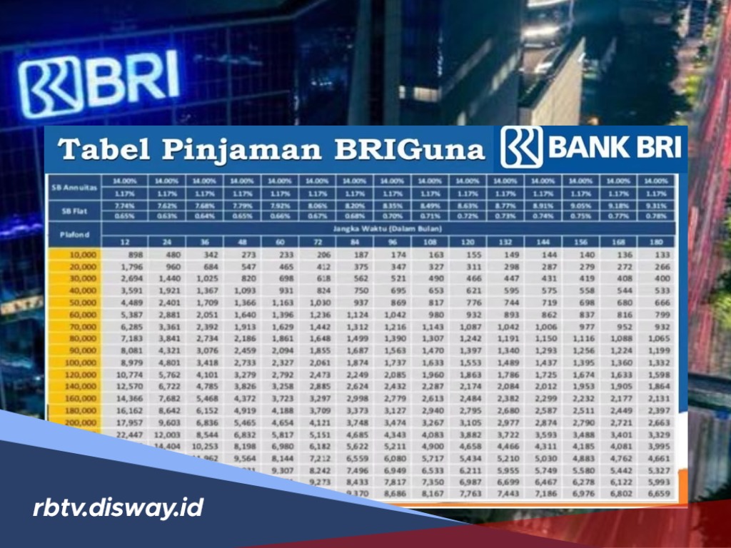 Proses Pengajuan Ketika PPPK Mengajukan Pinjaman BRIguna Karya