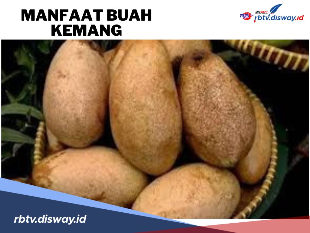 10 Manfaat Buah Kemang untuk Kesehatan Tubuh, Sudah Tahu Belum? 