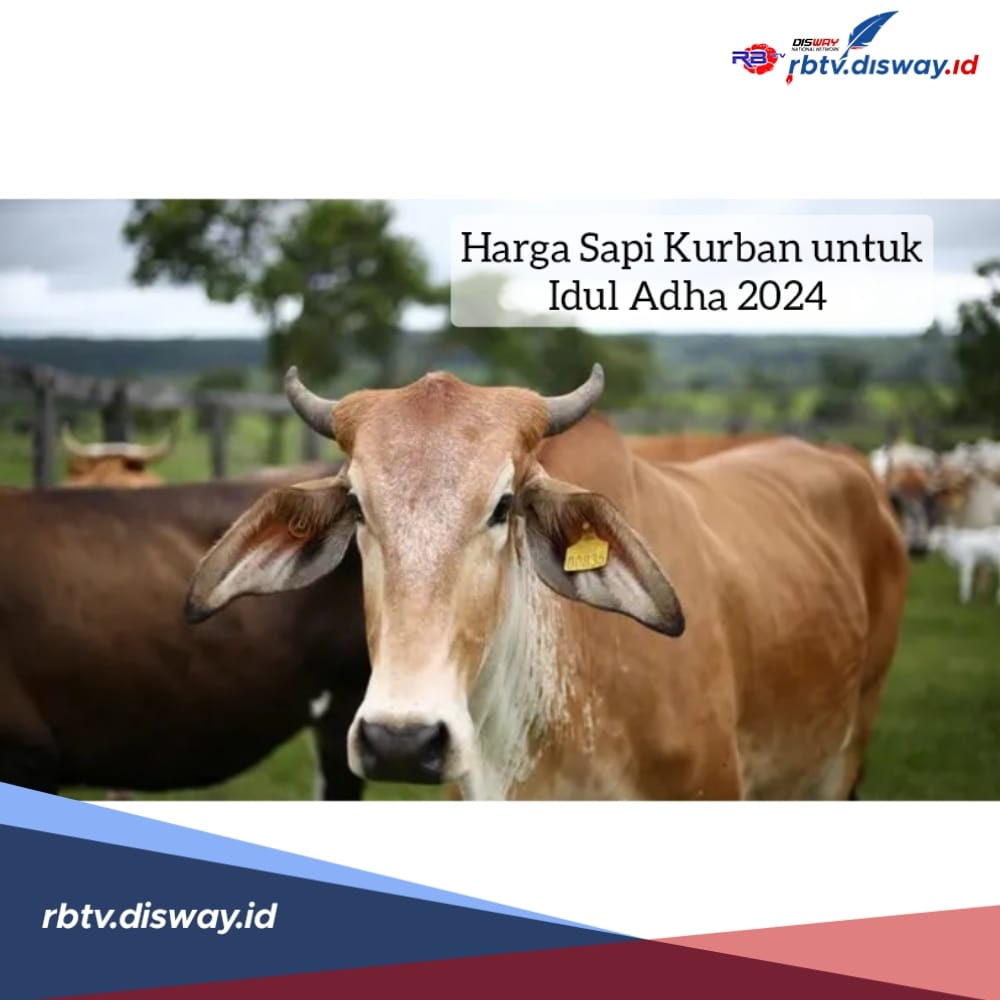 Siap Berkurban? Ini Daftar Harga Sapi Kurban untuk Idul Adha 2024, Cek Dulu