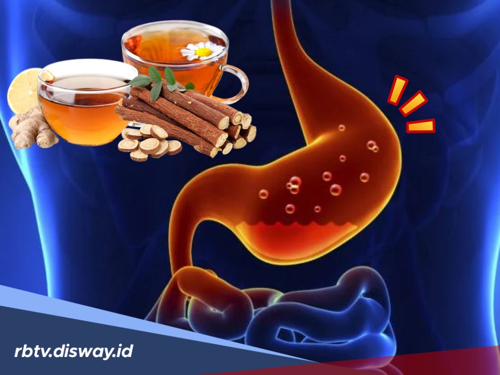 4 Obat Herbal Ampuh Atasi GERD, Solusi Alami Selain Dokter
