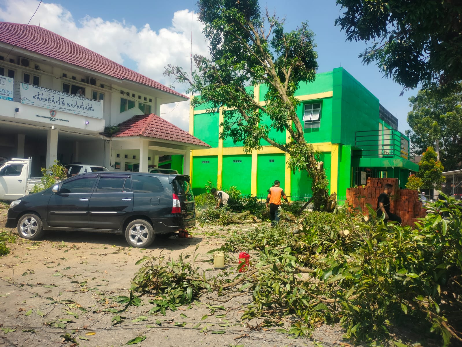 Pohon Tumbang di Kepahiang, Dua Unit Mobil Ringsek