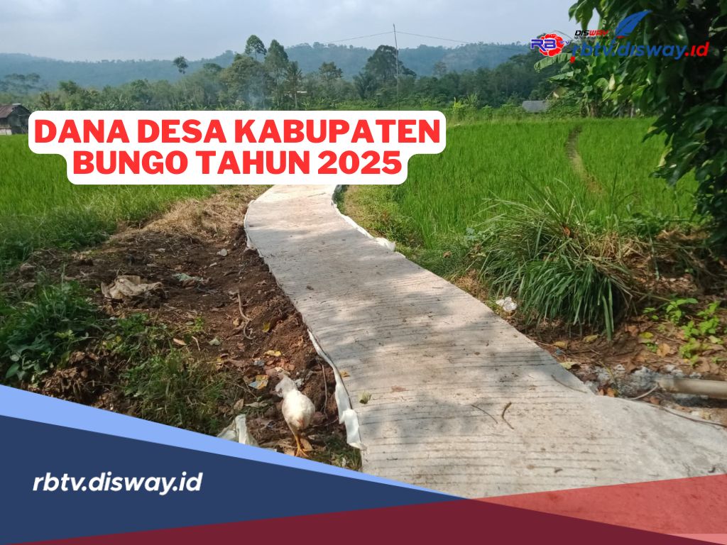 Rincian Dana Desa Kabupaten Bungo Tahun 2025 yang Dikucurkan Pemerintah untuk 141 Desa