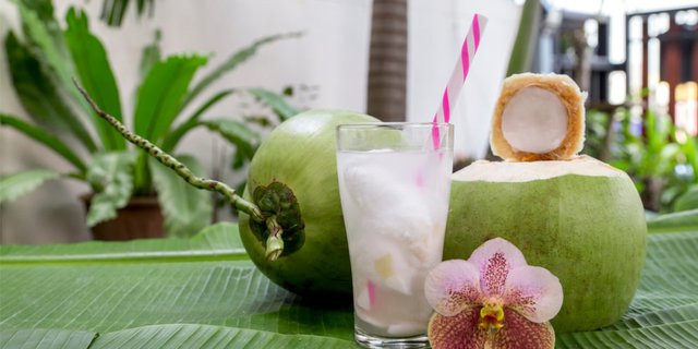 Punya Rasa Manis Alami, Apakah Konsumsi Air Kelapa Muda Dilarang untuk Penyakit Diabetes? 