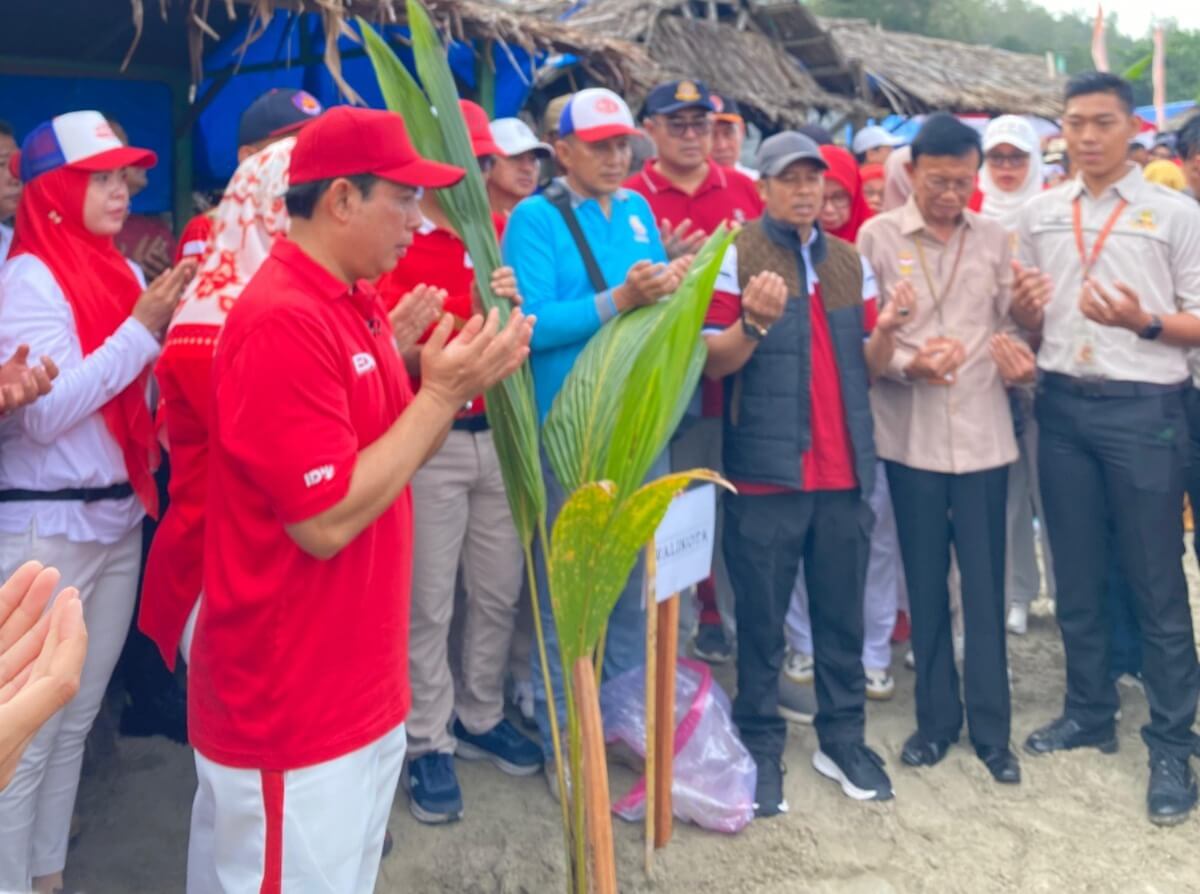 Pemkot Bengkulu Camkoha, 10 Ribu Pohon Kelapa Sudah Ditanam