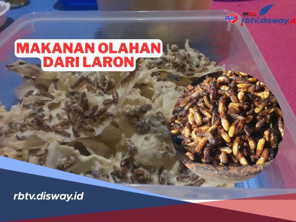 4 Resep Olahan dari Laron yang Enak dan Mudah Dibuat, Bisa Bikin Ketagihan