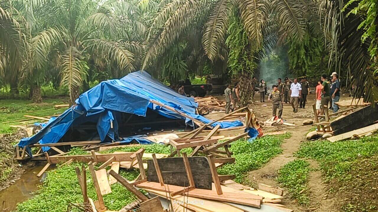 Pemkab Seluma Bongkar dan Bakar Warem di Desa Tebat Sibun Seluma