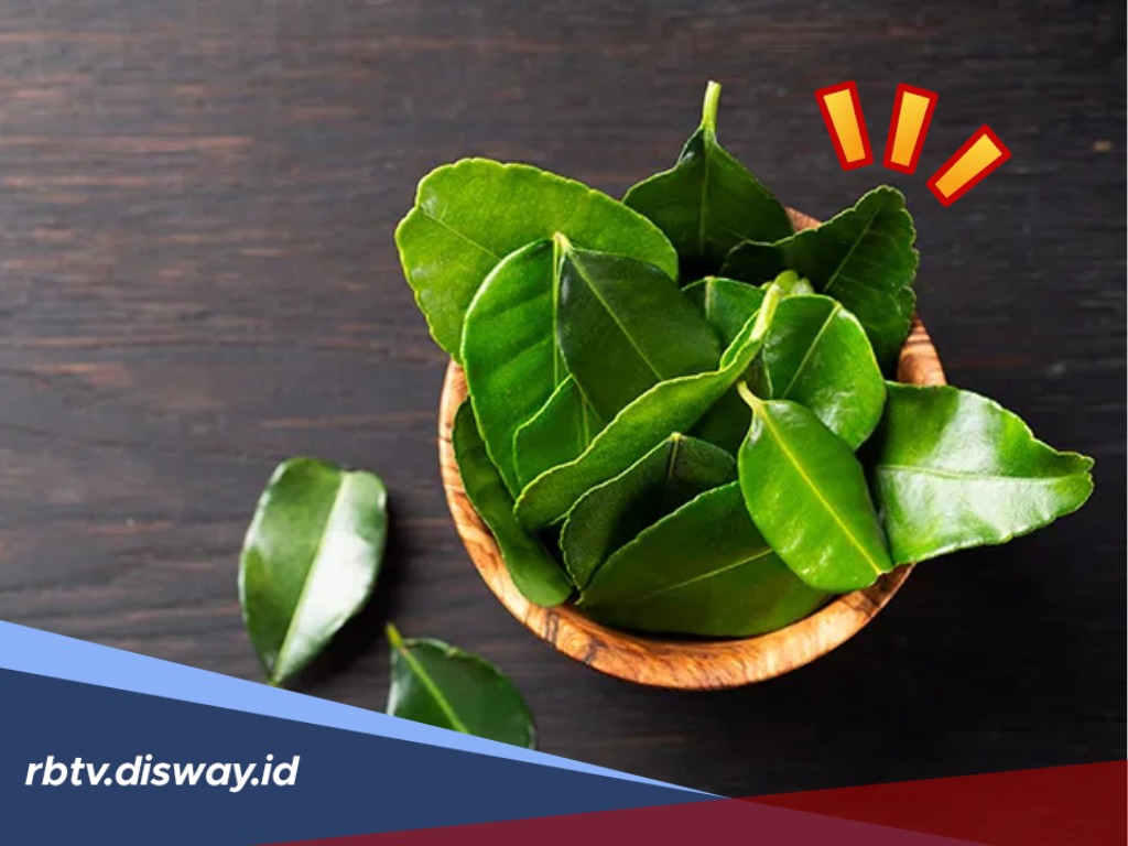 6 Manfaat Daun Jeruk Nipis untuk Kesehatan, Nomor 6 Belum Banyak yang Tahu