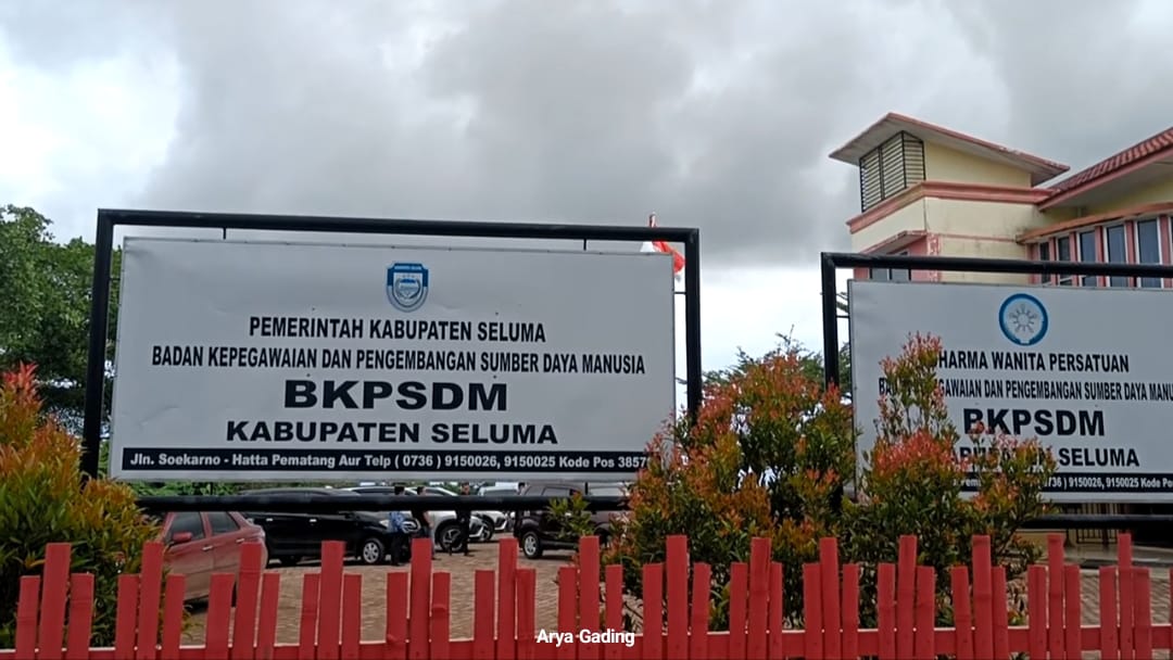 1.854 Pelamar CPNS Seluma Dipastikan Gagal Jadi CPNS 2024, Cek Namamu di Sini