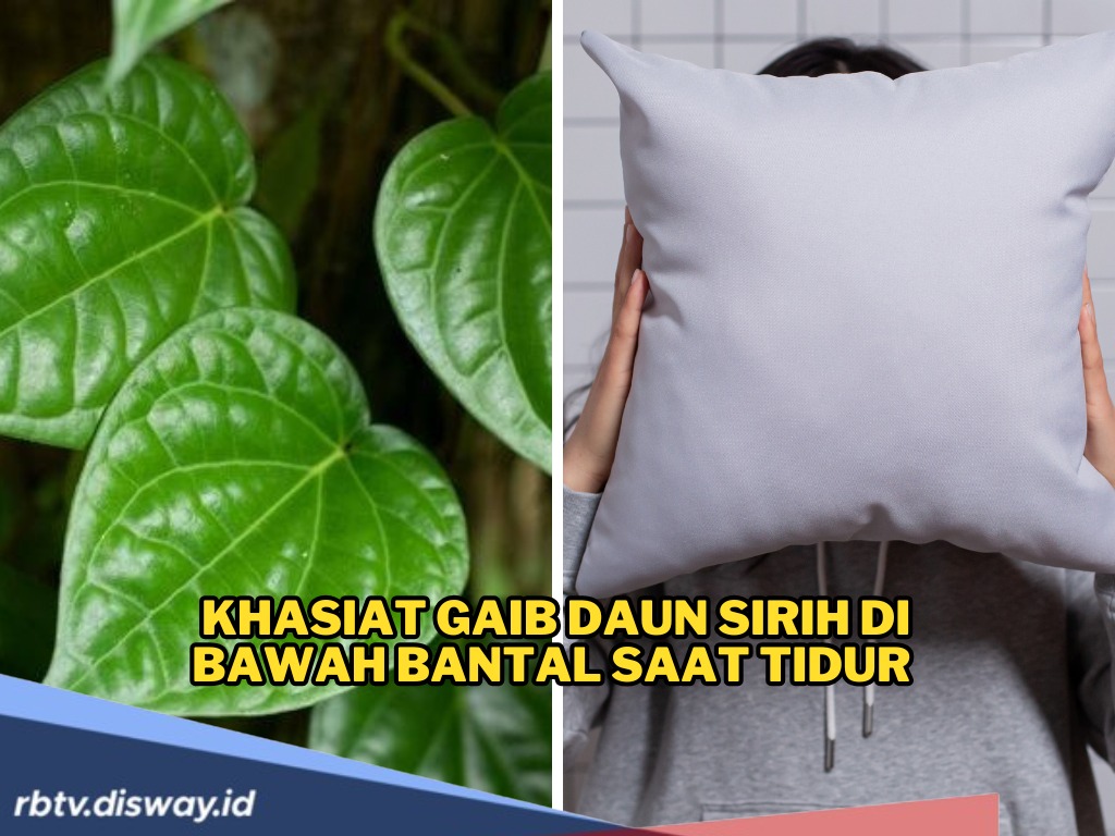 Berani Coba? Ini Khasiat Gaib Daun Sirih Di Bawah Bantal Saat Tidur, Tradisi Leluhur yang Ternyata Punya Kekua