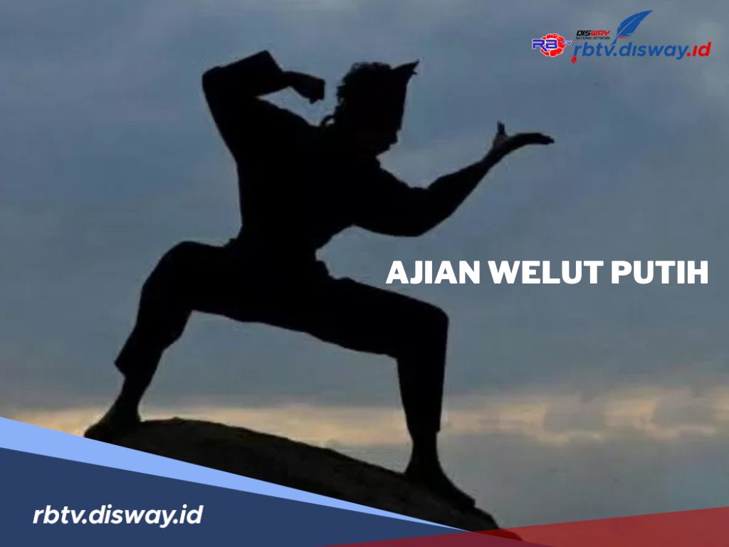 Ajian Welut Putih Tak Dapat di Tangkap, Ini Syarat untuk Memiliki Ajian Sakti ini