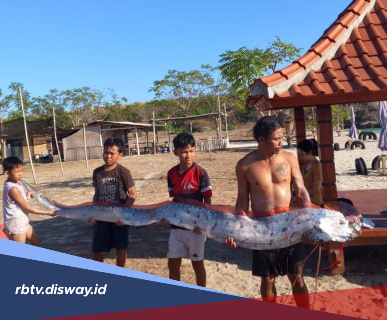 Oarfish Muncul di Pantai Pink 3 Lombok, Ini Mitos Ikan Oarfish yang Beredar