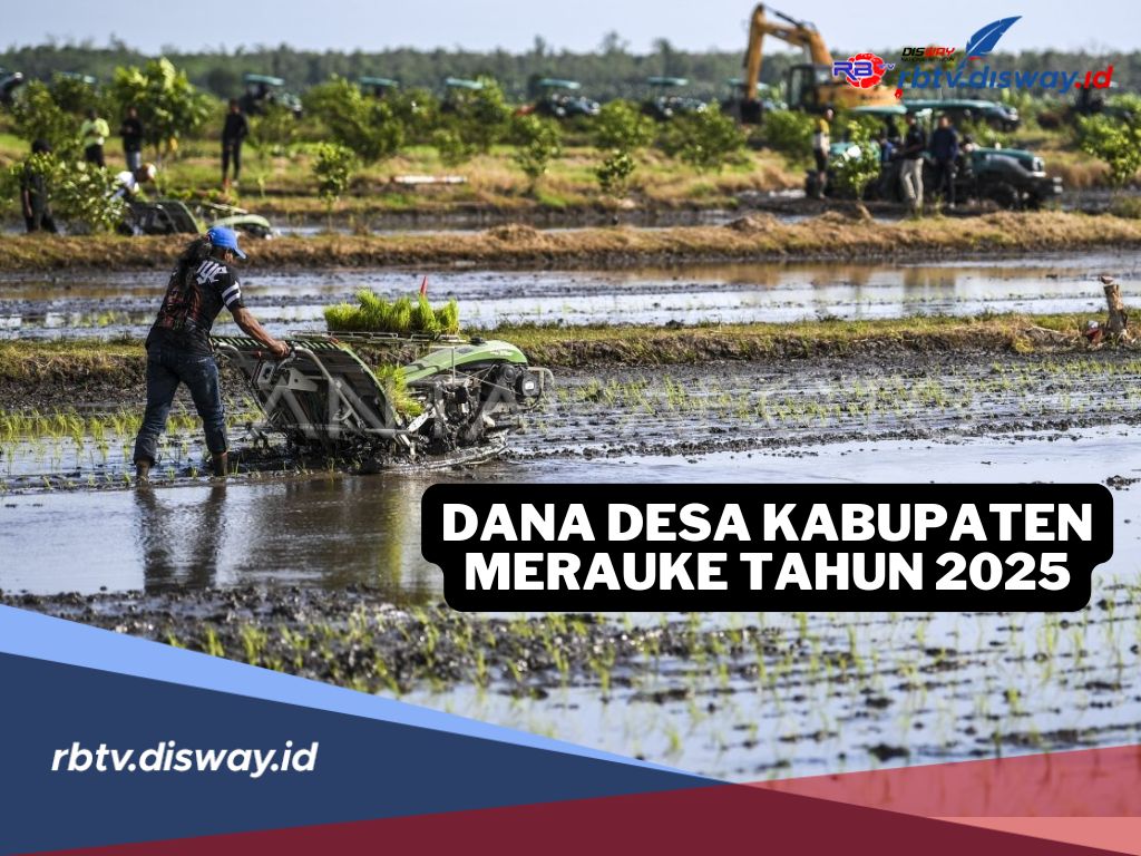 Rincian Dana Desa Kabupaten Merauke Tahun 2025, Cek Anggaran Desamu di Sini