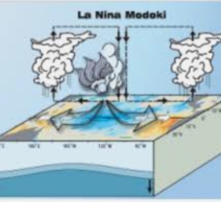 La Nina Modoki, ‘Bayi Perempuan’ yang Diprediksi Geser El Nino di Indonesia