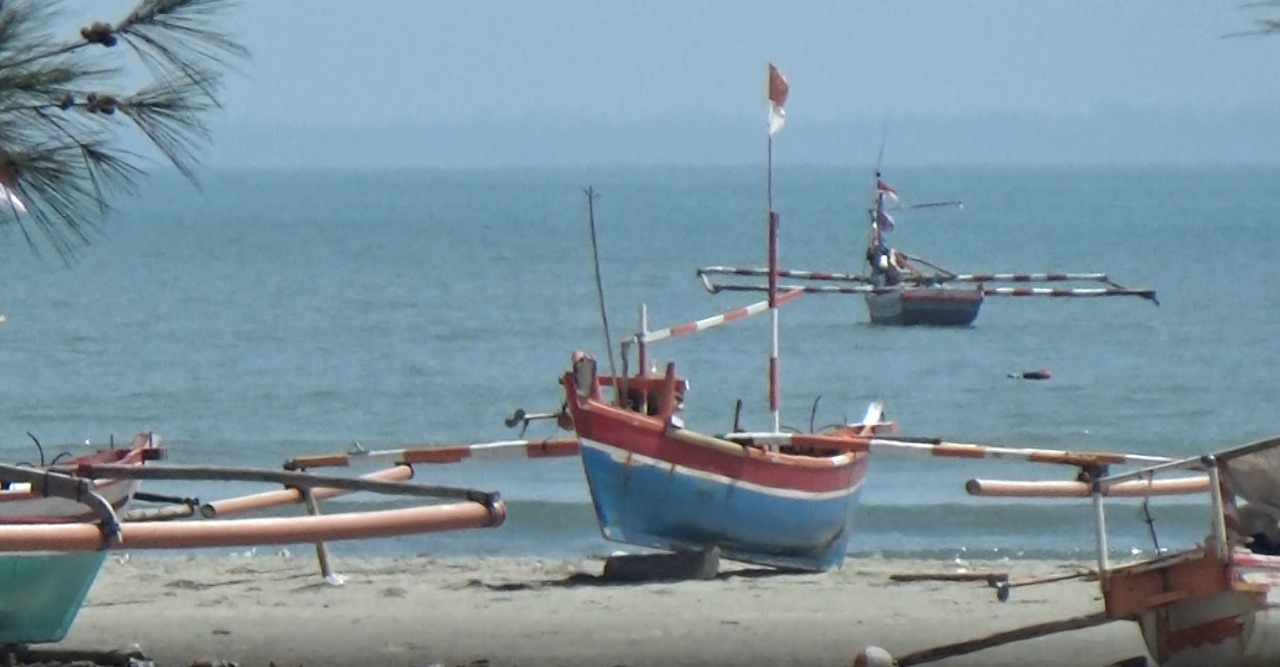 Nelayan dari Luar Jangan Sembarang Tangkap BBL di Perairan Kota Bengkulu, Ada Aturannya