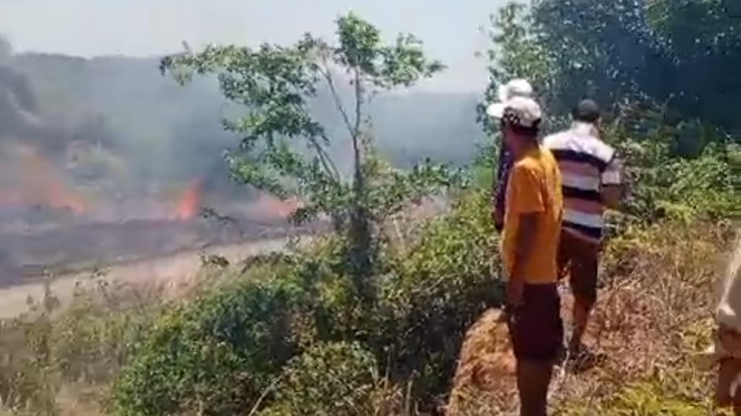 Lahan Perkebunan Kelapa Sawit Sekitar Taman Kuliner Tais Hangus Terbakar 