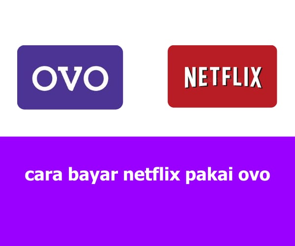 Cara Mudah Bayar Langganan Netflix Pakai OVO, Simak Baik-baik Langkahnya agar Tidak Salah