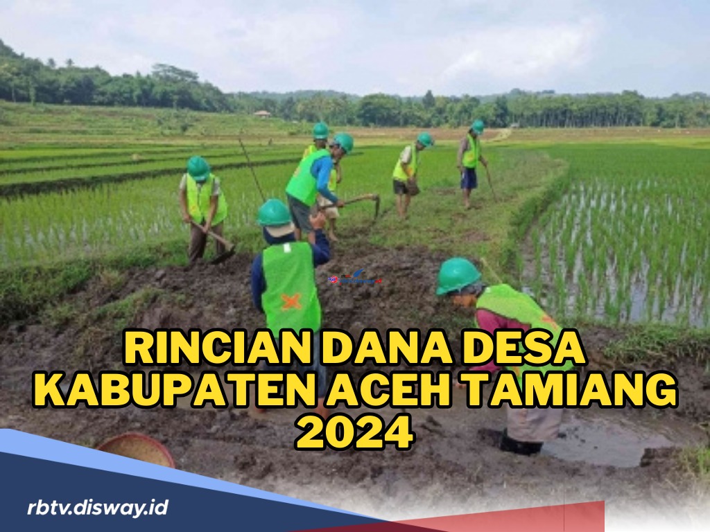 Rincian Dana Desa Kabupaten Aceh Tamiang 2024, Mana Desa yang Paling Besar Terima Alokasi Dana Desa 2024?