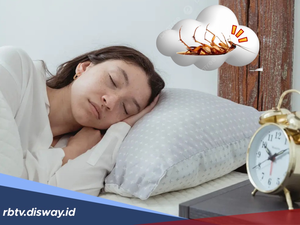 13 Tafsir Mimpi Kecoa, dari Rezeki Tak Terduga hingga Masalah Kesehatan