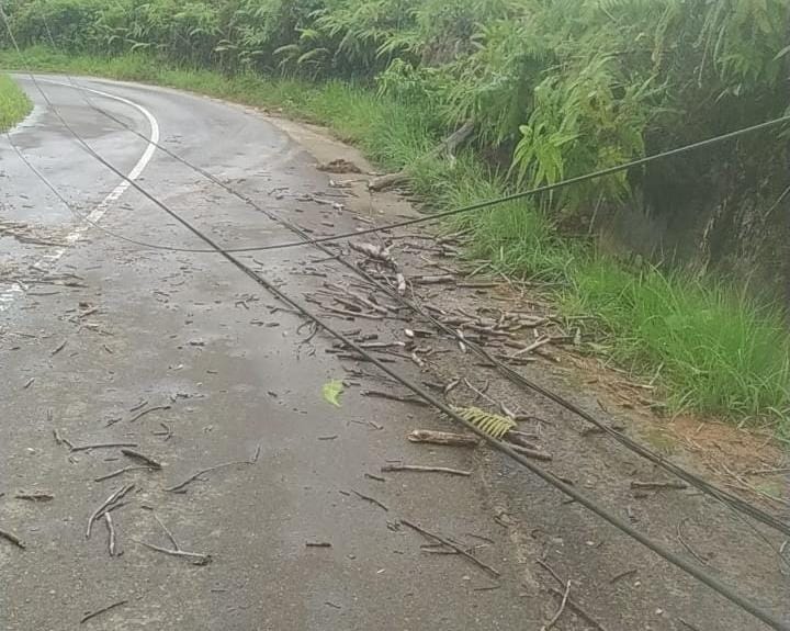 Jaringan Listrik PLN di Sejumlah Wilayah Bengkulu Utara Sempat Lumpuh Akibat Tertimpa Pohon