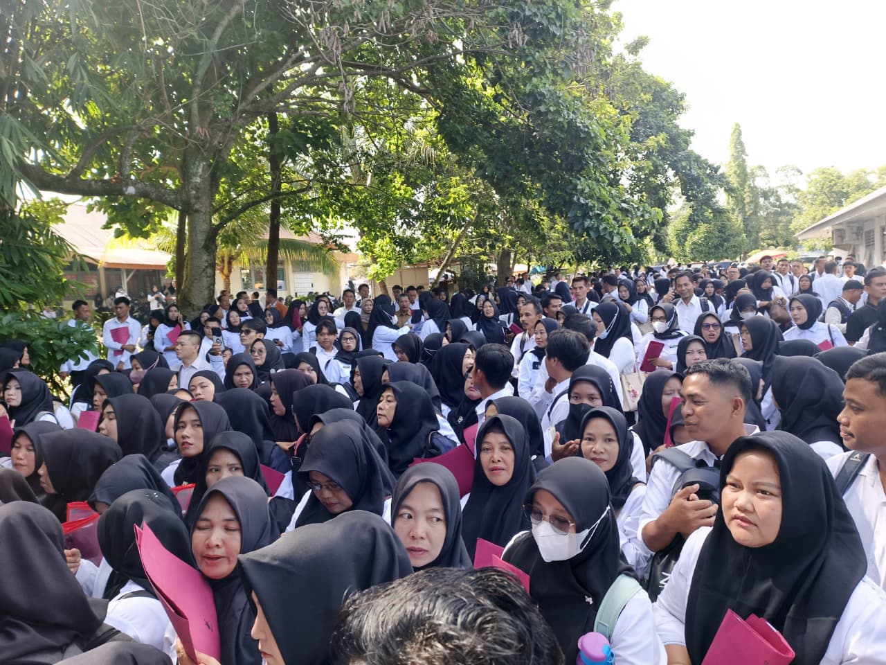 BKPSDM Bengkulu Utara ‘Dikepung’ Ribuan Calon PPPK Paruh Waktu