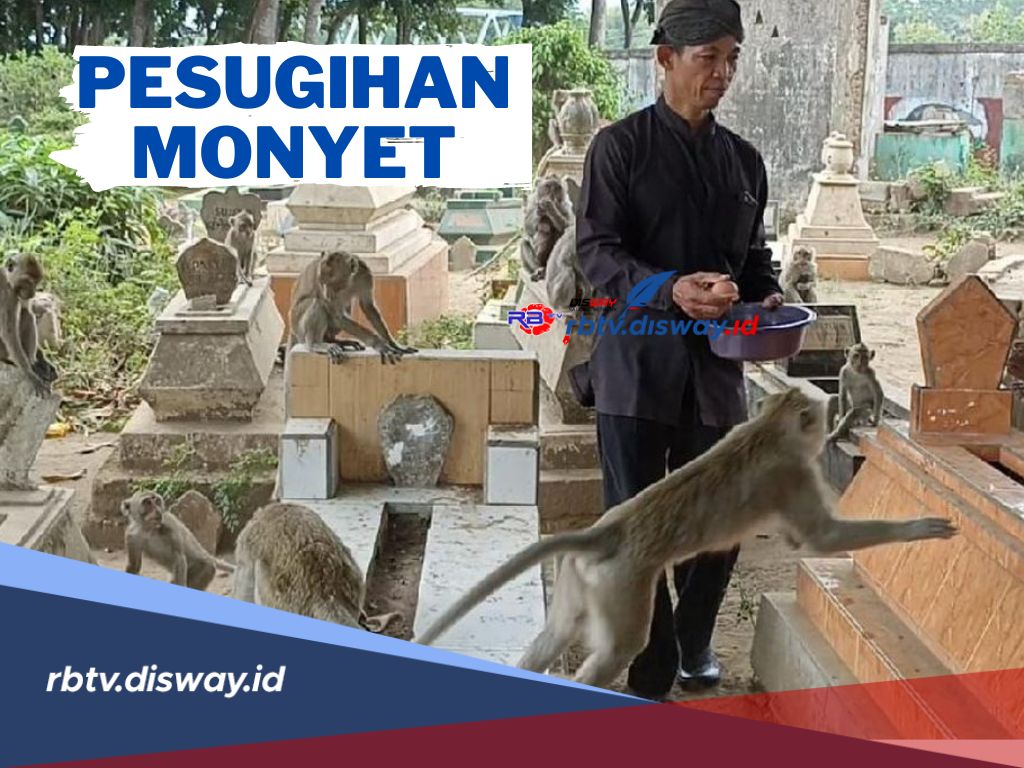 Ternyata Begini Pesugihan Monyet, Kenali Cirinya jangan Sampai Anda jadi Tumbal