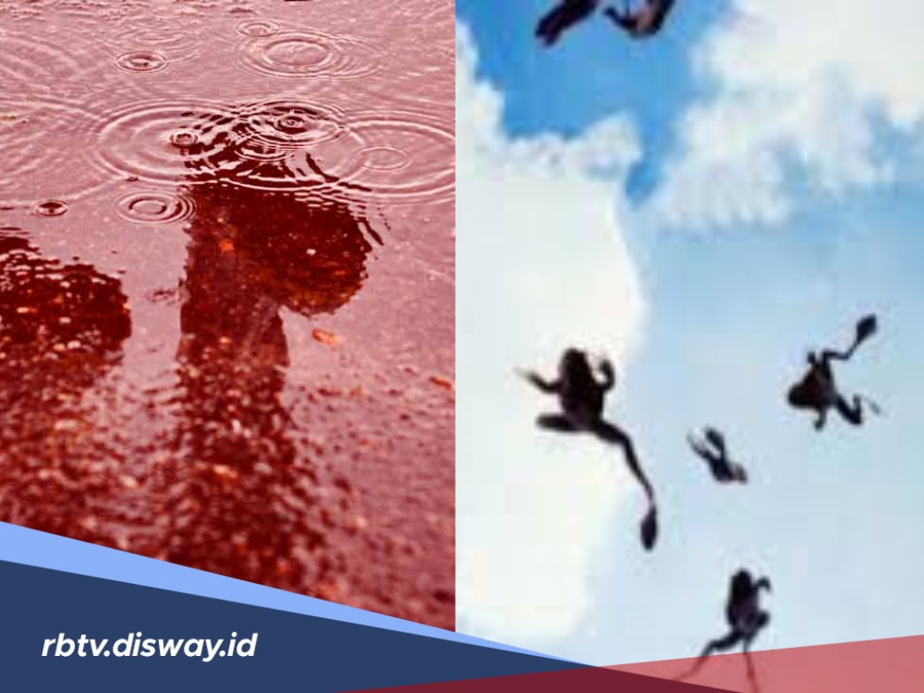 Pandangan Al Quran tentang Hujan Katak di Brazil hingga Hujan Darah di India 