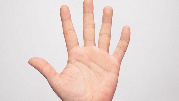 Ciri Telapak Tangan Orang yang Bakal Menjadi Kaya