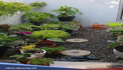 Rumah Minimalis tapi Mau Bikin Taman? Ini Referensi Kekinian yang Cocok untuk Rumah Anda