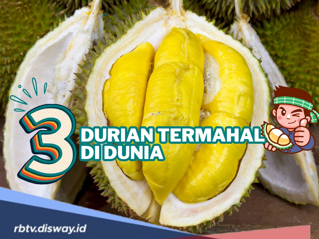 3 Durian Termahal di Dunia, Ada yang Harganya hingga Rp 676 Juta Per Buah