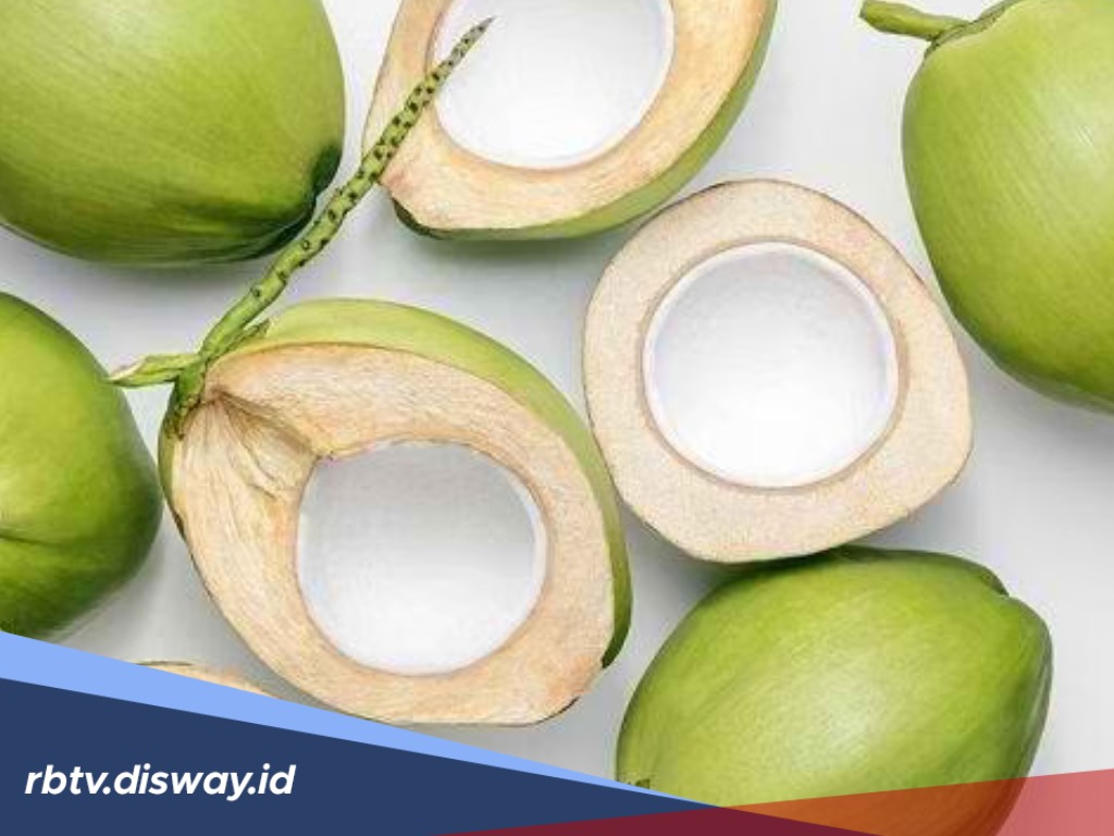 Belum Banyak yang Tahu, Ini 5 Manfaat Buah Kelapa untuk Kesehatan